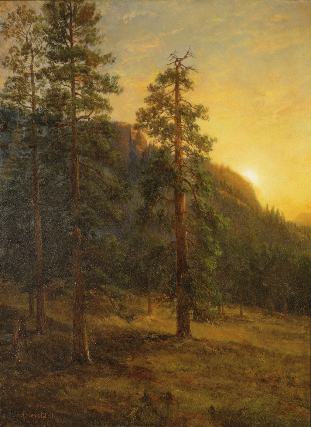 California Redwoods in Detail Albert Bierstadt